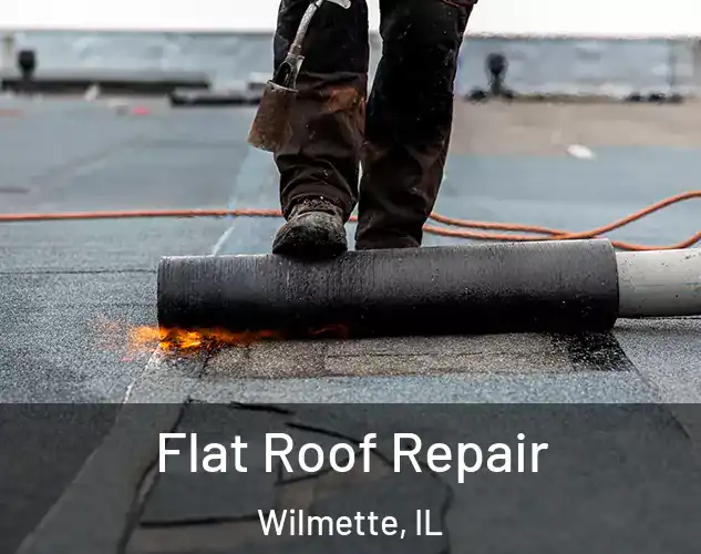  Flat Roof Repair Wilmette, IL