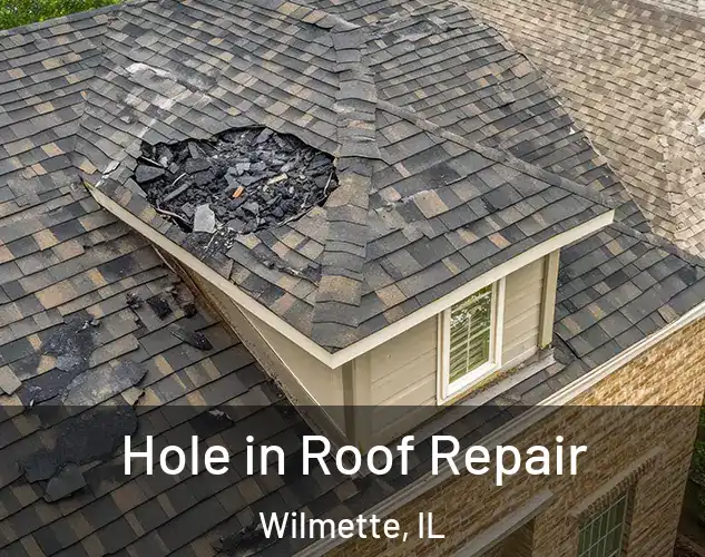  Hole in Roof Repair Wilmette, IL
