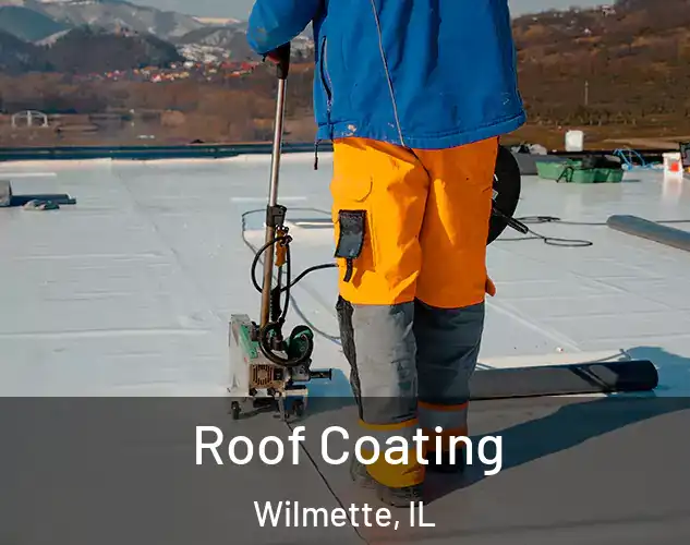  Roof Coating Wilmette, IL