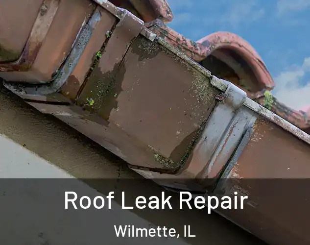  Roof Leak Repair Wilmette, IL