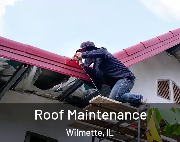  Roof Maintenance Wilmette, IL