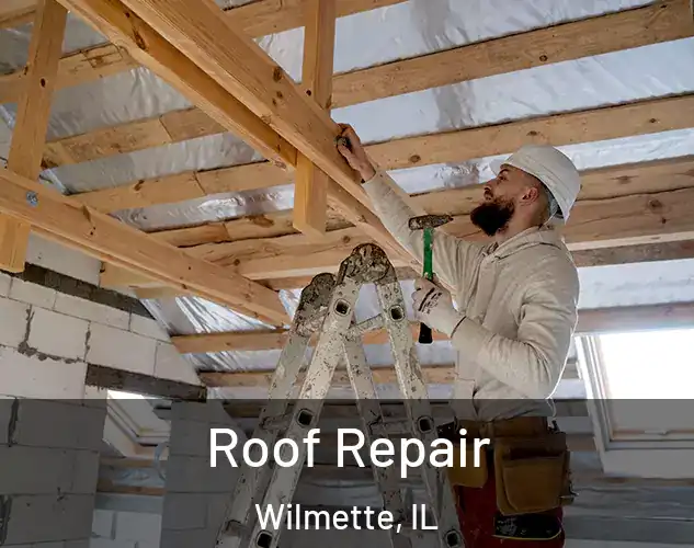  Roof Repair Wilmette, IL