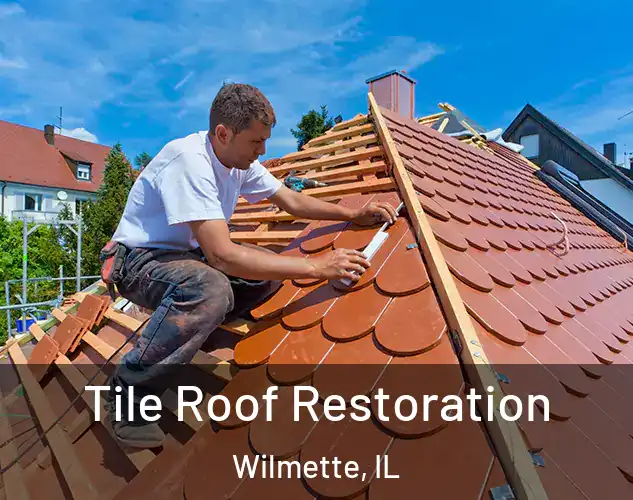  Tile Roof Restoration Wilmette, IL